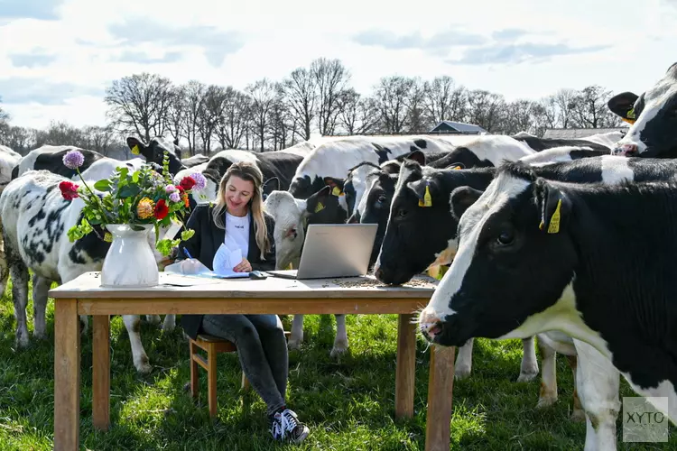 Vlotte Tantes in opkomst, de Veluwe & Flevoland!