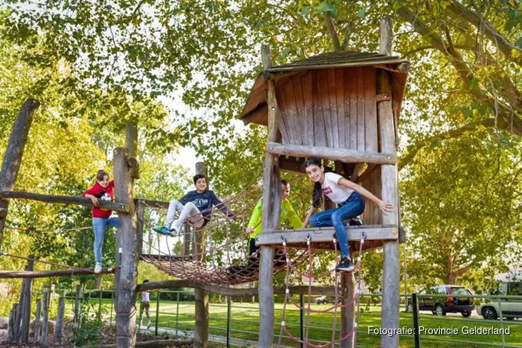 Groen schoolplein voor 1 op de 3 Gelderse basisscholen