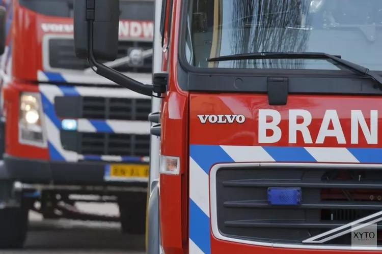 Kleine bosbrand in Elspeet snel onder controle