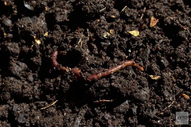 Gemeente Nunspeet deelt gratis compost uit op 23 maart