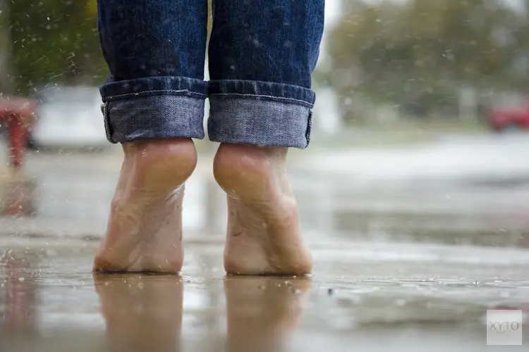 Zomer gaat komende week van start, al merken we daar nog weinig van