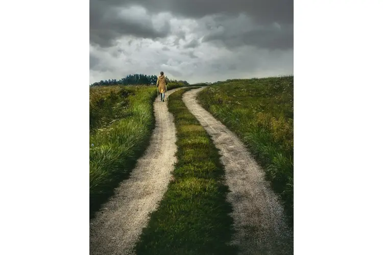 Vrijheidspad: wandelend verhalen delen over oorlog en vrijheid