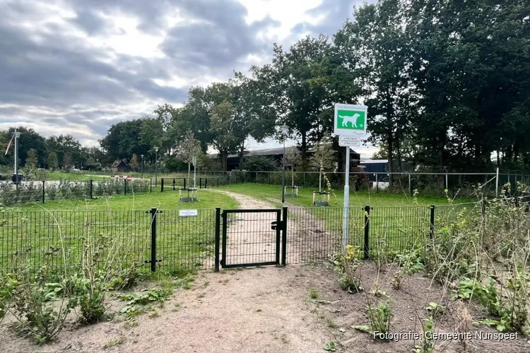 Hondenuitlaatrennen in Elspeet