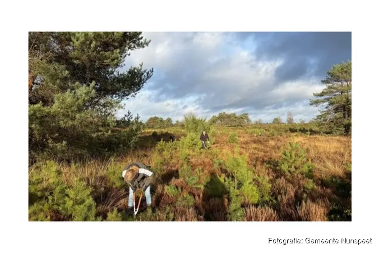 Wil jij ook een dagje buiten aan de slag? Help dan mee aan het behoud van onze heide!